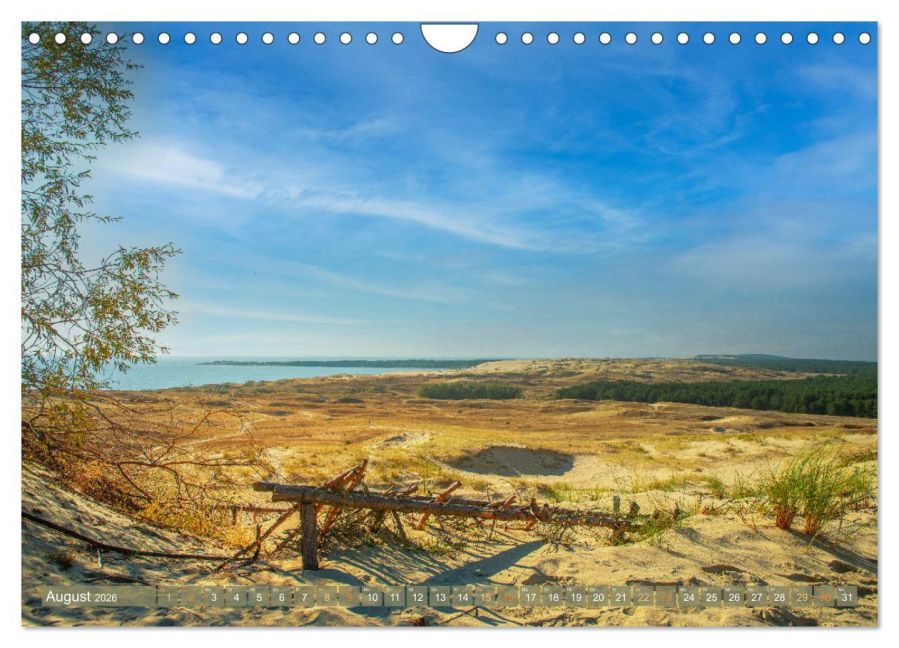 InsideView 13