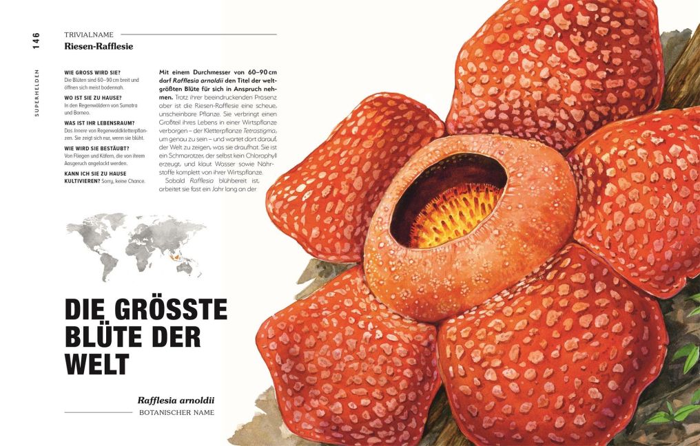 InsideView 6
