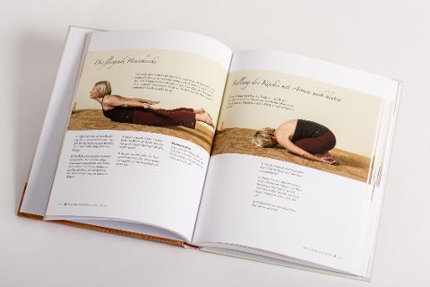 InsideView 5