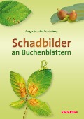 Schadbilder an Buchenblättern - Gregor Schmitz, Sando Jung
