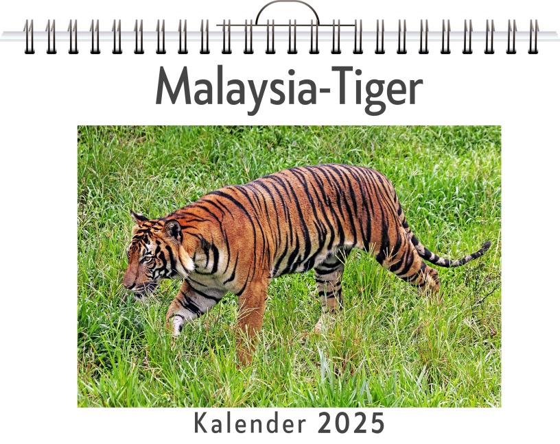 Malaysia-Tiger - Marie Meyer