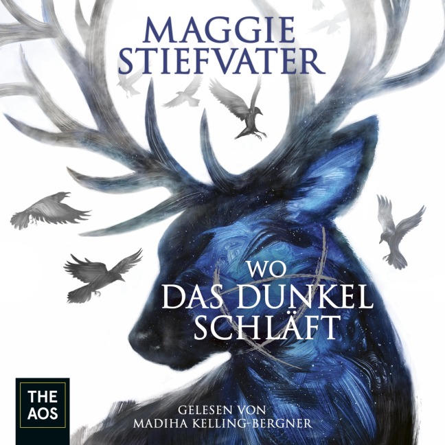 Wo das Dunkel schläft - Maggie Stiefvater