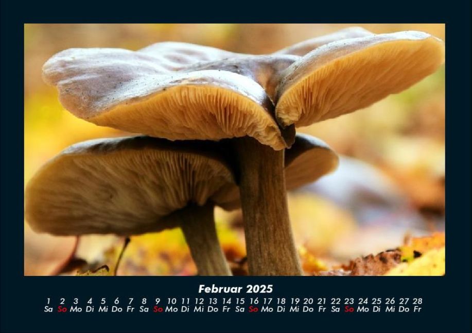 InsideView 6
