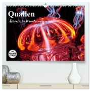 Cover-Bild zum Titel 'Quallen. Ätherische Wunderwesen (hochwertiger Premium Wandkalender 2026 DIN A2 quer), Kunstdruck in Hochglanz' von 'Elisabeth Stanzer'