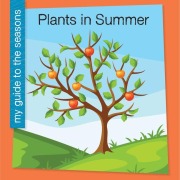 Cover-Bild zum Titel 'Plants in Summer' von 'Rebecca Felix'