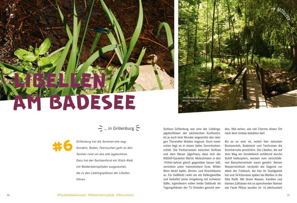 InsideView 3
