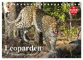 Leoparden. Elegante Jäger (Tischkalender 2024 DIN A5 quer), CALVENDO Monatskalender - Elisabeth Stanzer