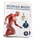 Human Body: Skeletal and Muscular System - Wonder House Books
