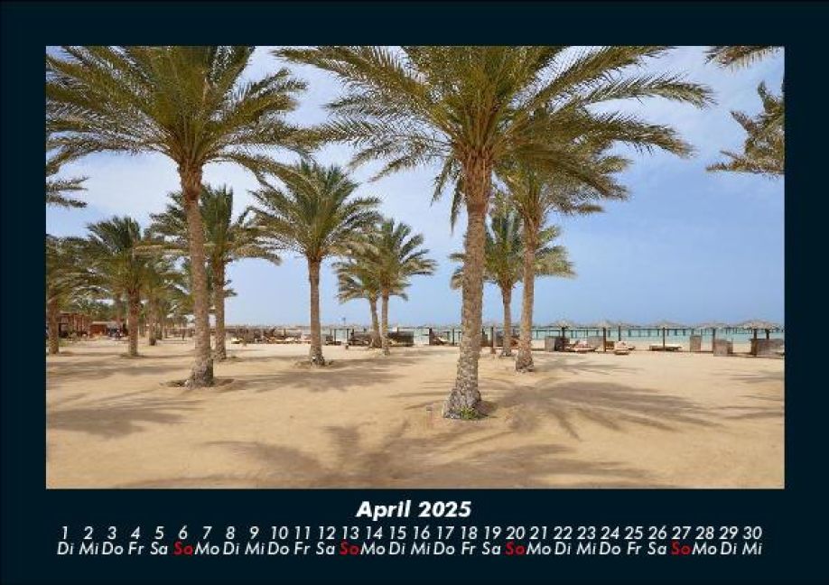 InsideView 8