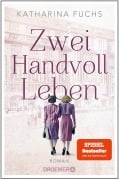 Cover-Bild zum Titel 'Zwei Handvoll Leben' von 'Katharina Fuchs'