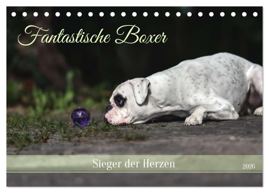 Fantastische Boxer - Sieger der Herzen (Tischkalender 2026 DIN A5 quer), CALVENDO Monatskalender - Yvonne Janetzek