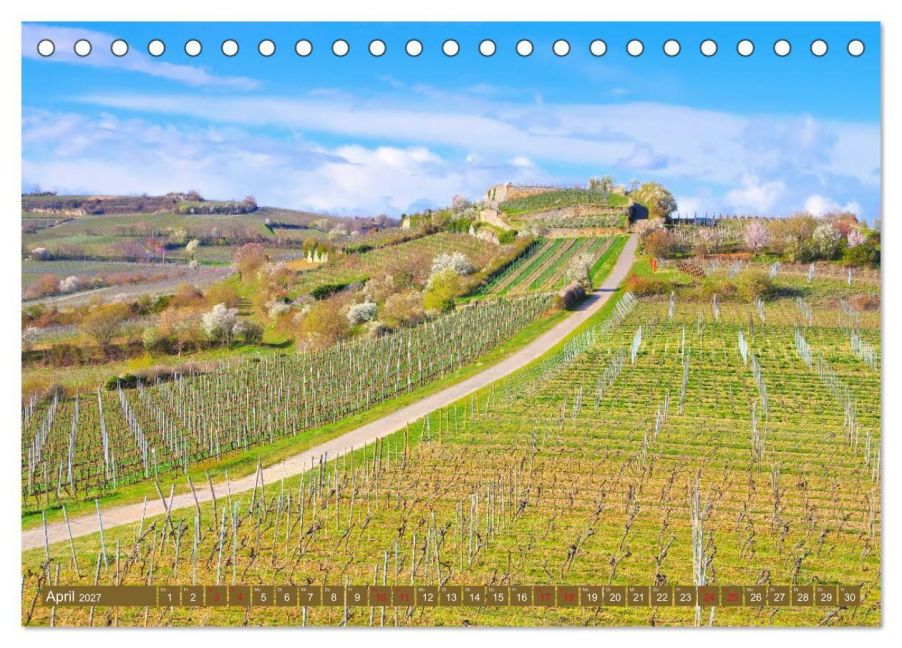 InsideView 9