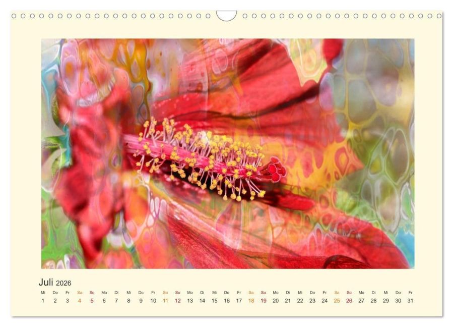 InsideView 12