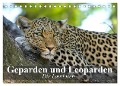 Die Lautlosen. Geparden und Leoparden (Tischkalender 2024 DIN A5 quer), CALVENDO Monatskalender - Elisabeth Stanzer