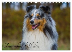 Cover-Bild zum Titel 'Traumhund Sheltie (Wandkalender 2026 DIN A3 quer), CALVENDO Monatskalender' von 'Sigrid Starick'