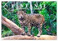 Pantanal: Faszinierende Tiere hautnah (Wandkalender 2025 DIN A3 quer), CALVENDO Monatskalender - Michael Kurz