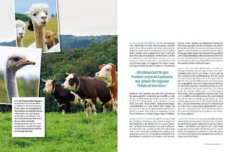 InsideView 4