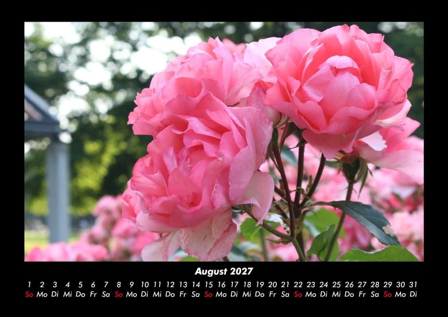 InsideView 12