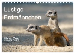 Cover-Bild zum Titel 'Lustige Erdmännchen (Wandkalender 2026 DIN A3 quer), CALVENDO Monatskalender' von 'Michael Weber'