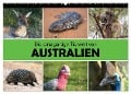 Die einzigartige Tierwelt von Australien (Wandkalender 2024 DIN A2 quer), CALVENDO Monatskalender - Christina Williger