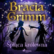 Cover-Bild zum Titel '¿pi¿ca królewna' von 'Bracia Grimm'