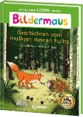 Bildermaus - Geschichten vom mutigen kleinen Fuchs - Eva Hierteis