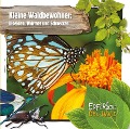 Cover-Bild zum Titel 'Kleine Waldbewohner: Insekten, Würmer und Schnecken' von 'Robin Twiddy'