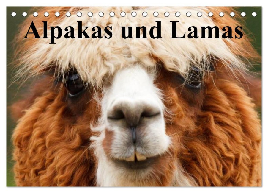 Alpakas und Lamas (Tischkalender 2026 DIN A5 quer), CALVENDO Monatskalender - Elisabeth Stanzer