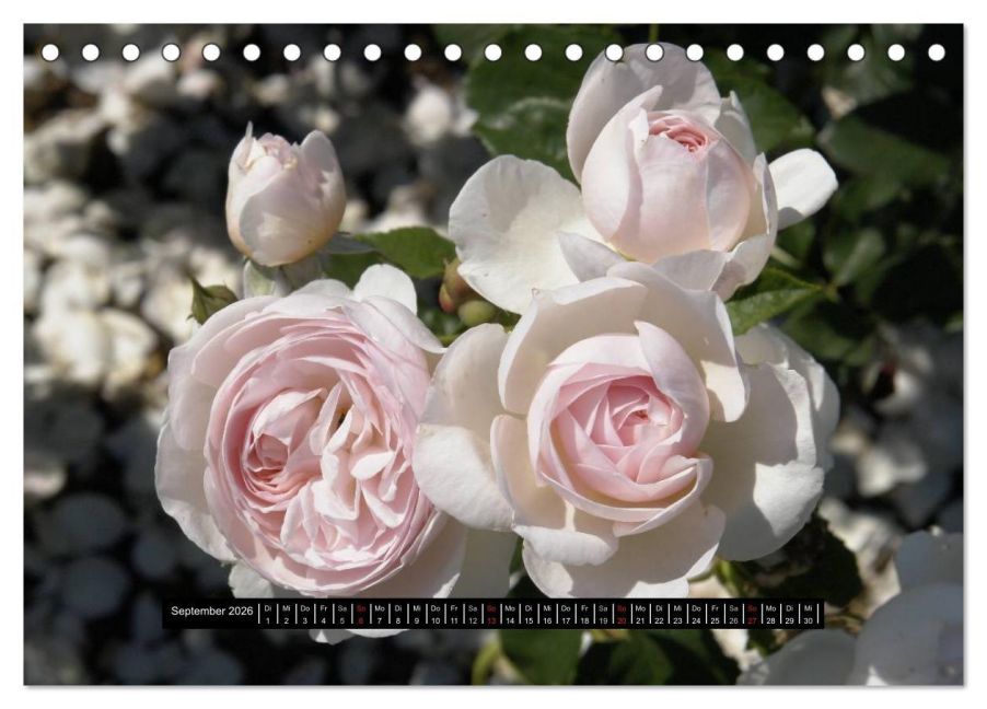 InsideView 14
