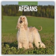 Afghans - Afghanischer Windhund 2026 - 16-Monatskalender - Robin Red