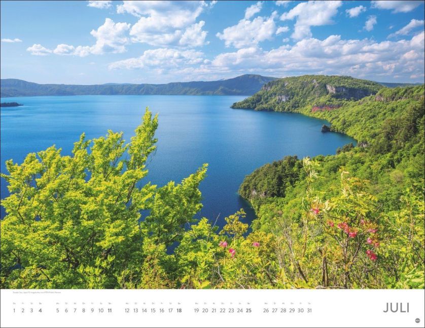 InsideView 7