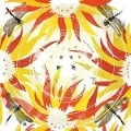 Cover-Bild zum Titel 'Come With Fierce Grace' von 'Alabaster Deplume'