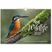 Cover-Bild zum Titel 'Real Wildlife 2027' von ''