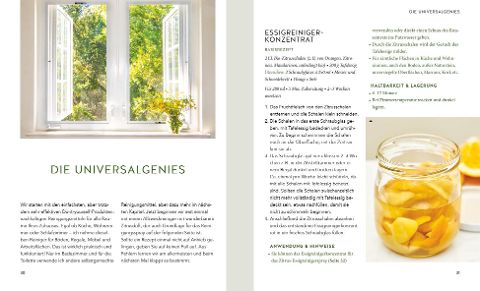 InsideView 3