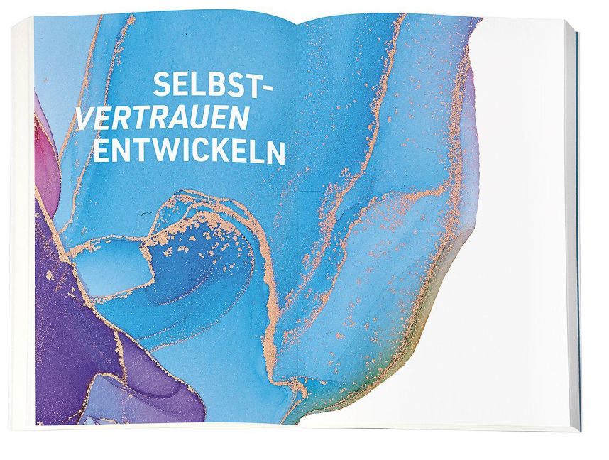 InsideView 6