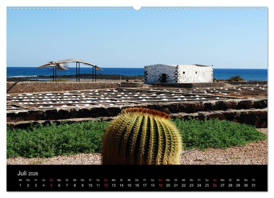 InsideView 12