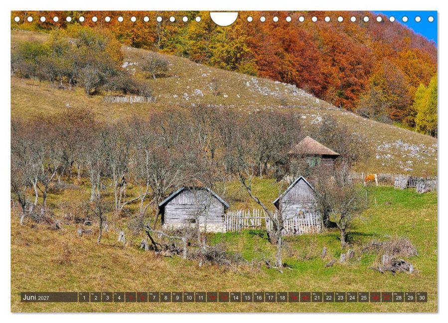 InsideView 11