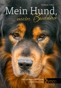 Cover-Bild zum Titel 'Mein Hund, mein Buddha' von 'Kimberly Artley'