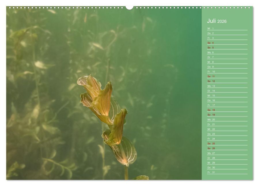 InsideView 11