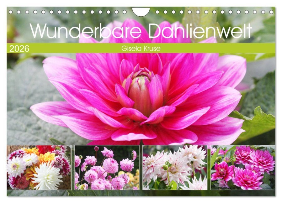 Wunderbare Dahlienwelt (Wandkalender 2026 DIN A4 quer), CALVENDO Monatskalender - Gisela Kruse
