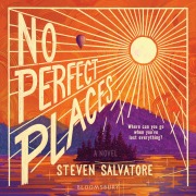 Cover-Bild zum Titel 'No Perfect Places' von 'Steven Salvatore'