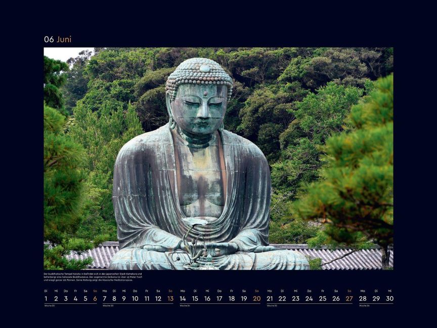 InsideView 8