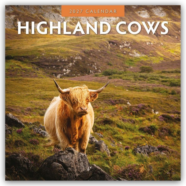 Highland Cows - Hochland Kühe 2027 - 16-Monatskalender - Robin Red