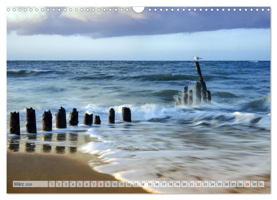 InsideView 8