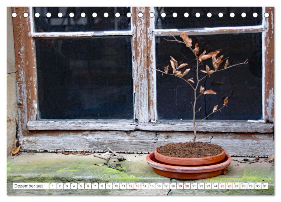 InsideView 4