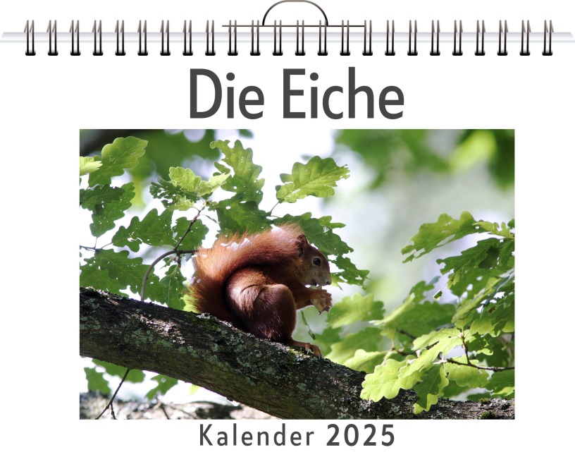 Die Eiche - Anton Meier