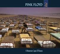 Cover-Bild zum Titel 'A Momentary Lapse of Reason' von 'Floyd Pink'