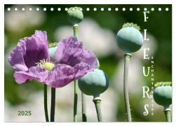 DES FLEURS ENCHANTERESSES (Calendrier de bureau 2026 DIN A5 vertical), CALVENDO calendrier mensuel - Anja Rau