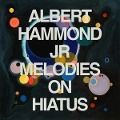 Cover-Bild zum Titel 'Melodies on Hiatus' von 'Albert Hammond Jr'