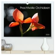 Prachtvolle Orchideen (hochwertiger Premium Wandkalender 2026 DIN A2 quer), Kunstdruck in Hochglanz - SchnelleWelten SchnelleWelten